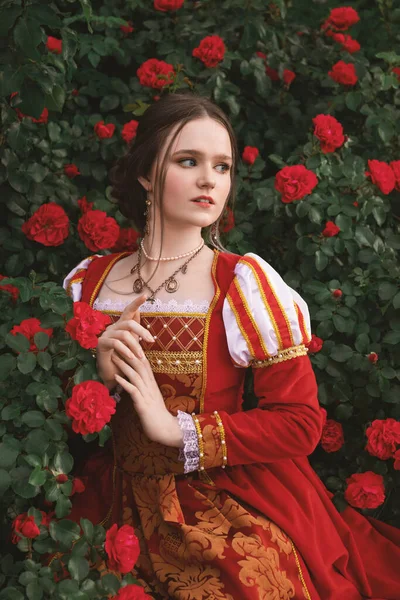 Portrait Fantasy Medieval Girl Princess Vintage Red Dress Woman Field — Stock Photo, Image