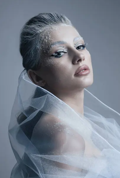 雪の女王のクローズアップ肖像画は 美しい凍った女性を構成します — ストック写真
