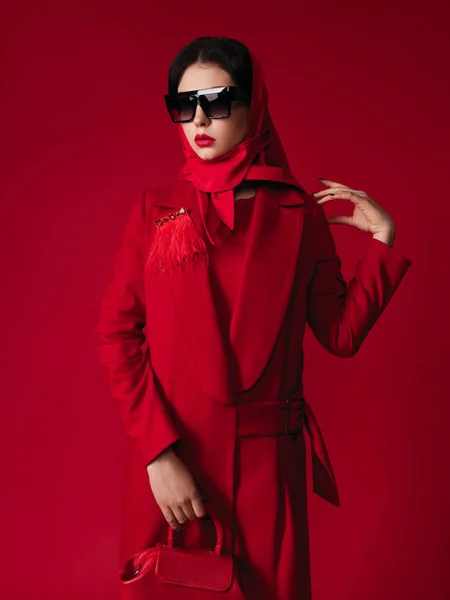 빨간색 스타일 스튜디오 화려한 여자의 초상화 스카프 메이크업 브로치 하이힐 — 스톡 사진
