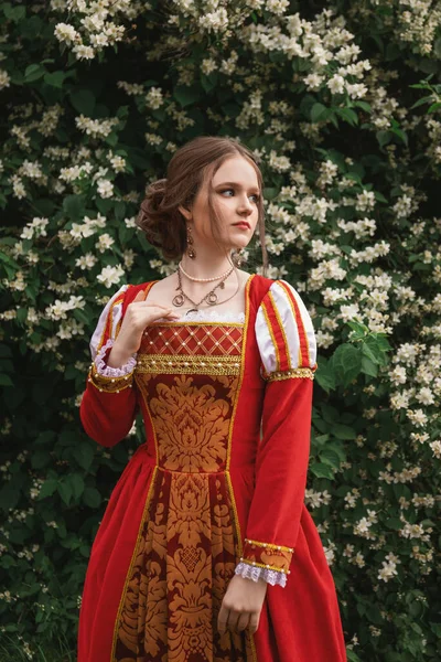Retrato Fantasia Princesa Menina Medieval Vestido Vermelho Vintage Mulher Grama — Fotografia de Stock