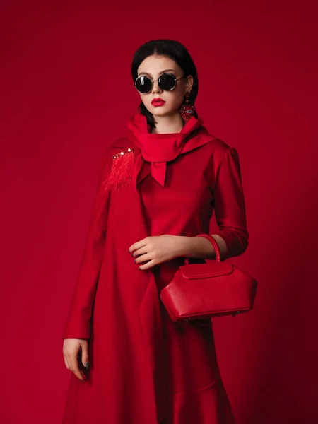 빨간색 스타일 스튜디오 화려한 여자의 초상화 스카프 메이크업 브로치 하이힐 — 스톡 사진