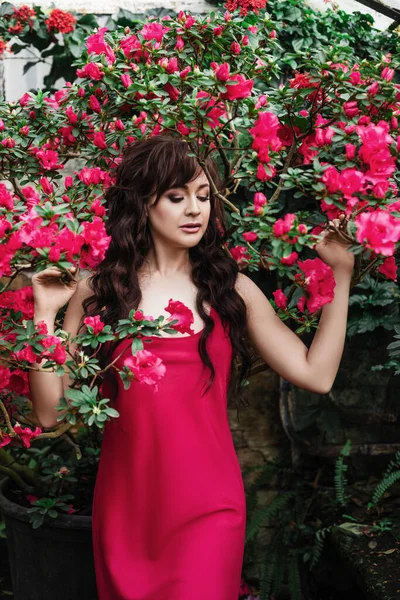 Sexy Brunetka Žena Růžových Šatech Stojí Kvetoucí Azalka Skleníku Krásné — Stock fotografie
