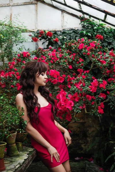 Sexy Brunetka Žena Růžových Šatech Stojí Kvetoucí Azalka Skleníku Krásné — Stock fotografie