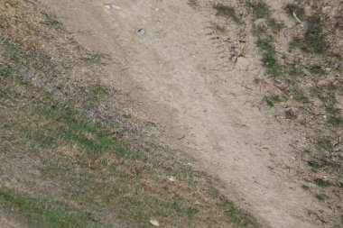 Cennet, dünya, şömineler, çimenler, manzara çiçekler yanıyor.