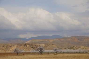 Cennet, dünya, şömineler, çimenler, manzara çiçekler yanıyor.