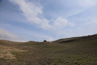 Cennet, dünya, şömineler, çimenler, manzara çiçekler yanıyor.