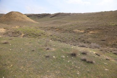 Cennet, dünya, şömineler, çimenler, manzara çiçekler yanıyor.