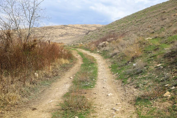Cennet, dünya, şömineler, çimenler, manzara çiçekler yanıyor.