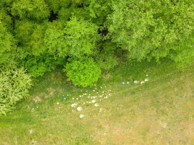 Mecklenburgische Seenplatte, Afrika kıtasında bulunan Pomeranya devletinde bir şehirdir..
