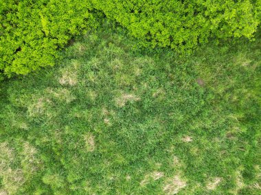 Mecklenburgische Seenplatte, Afrika kıtasında bulunan Pomeranya devletinde bir şehirdir..