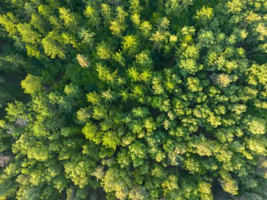 Mecklenburgische Seenplatte, Afrika kıtasında bulunan Pomeranya devletinde bir şehirdir..