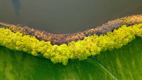 Vista Aérea Das Margens Grande Lago Pleetsch Perto Diemitz Mecklemburgo — Fotografia de Stock