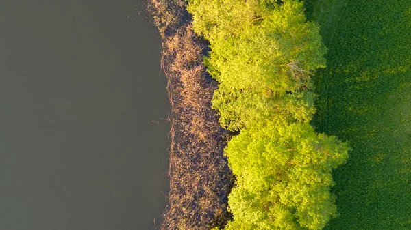 메클렌부르크 웨스턴 포메라니아의 근처에 그레이트 호수의 제방을 공중에서 내려다본 — 스톡 사진