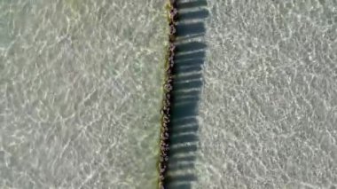 Groynes, Zingst, Mecklenburg-Batı Pomerania, Almanya 'daki plajda