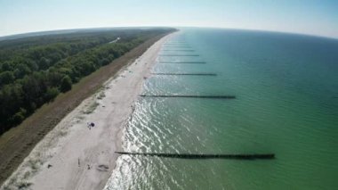 Groynes, Zingst, Mecklenburg-Batı Pomerania, Almanya 'daki plajda