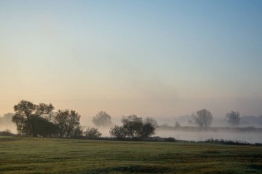 Elbe, Çek Cumhuriyeti 'nde yükselen, Almanya' dan geçip Kuzey Denizi 'ne dökülen bir Orta Avrupa ırmağıdır..