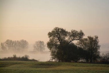 Elbe, Çek Cumhuriyeti 'nde yükselen, Almanya' dan geçip Kuzey Denizi 'ne dökülen bir Orta Avrupa ırmağıdır..