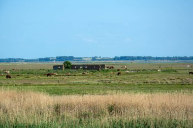 Baltık Denizi sağlık merkezi Zingst, Mecklenburg-Batı Pomeranya 'nın bağımsız bir belediyesidir. Güneydeki Kirr ve Barther Oie adalarının neredeyse tamamı belediyeye aittir..