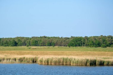 Baltık Denizi sağlık merkezi Zingst, Mecklenburg-Batı Pomeranya 'nın bağımsız bir belediyesidir. Güneydeki Kirr ve Barther Oie adalarının neredeyse tamamı belediyeye aittir..