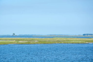 Baltık Denizi sağlık merkezi Zingst, Mecklenburg-Batı Pomeranya 'nın bağımsız bir belediyesidir. Güneydeki Kirr ve Barther Oie adalarının neredeyse tamamı belediyeye aittir..