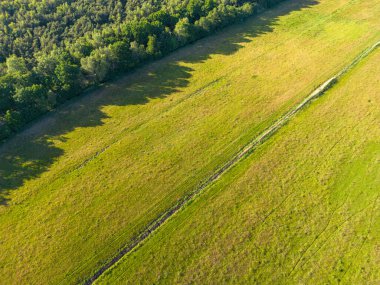 Baltık Denizi sağlık merkezi Zingst, Mecklenburg-Batı Pomeranya 'nın bağımsız bir belediyesidir..