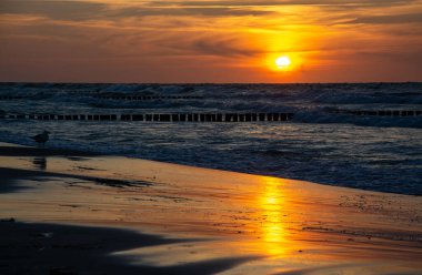 Baltık Denizi sağlık merkezi Zingst, Batı Pomerania eyaletinin Mecklenburg-West Pomerania eyaletinin Vorpommern-Ruegen ilçesinin kuzeybatısında yer almaktadır. Bu neredeyse aynı isimdeki tüm yarımadayı kapsıyor..