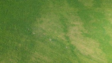 Mecklenburg Gölü Bölgesi, Afrika kıtasında bulunan Pomeranya devletinde bir şehirdir..