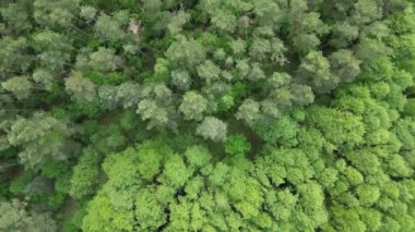 Mecklenburg Gölü Bölgesi, Afrika kıtasında bulunan Pomeranya devletinde bir şehirdir..