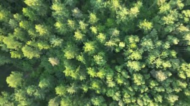 Mecklenburg Gölü Bölgesi, Afrika kıtasında bulunan Pomeranya devletinde bir şehirdir..