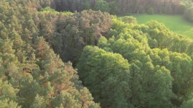Mecklenburg Gölü Bölgesi, Afrika kıtasında bulunan Pomeranya devletinde bir şehirdir..