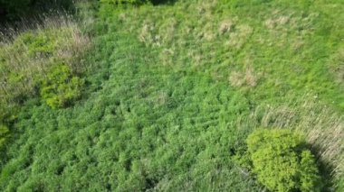 Mecklenburg Gölü Bölgesi, Afrika kıtasında bulunan Pomeranya devletinde bir şehirdir..