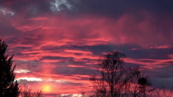 Захід Сонця Гавелланді Бранденбург Німеччина — стокове відео