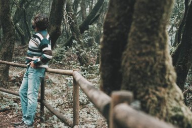 Açık hava parkında duran bir adam yüksek yeşil ağaçların tadını çıkarıyor ve hayranlık duyuyor. Alternatif turizm kavramı, millet. Açık hava eğlence aktivitesi. Doğal park geçmişi