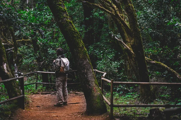 Sırt Çantalı Bir Adam Ormanda Yürüyor Vahşi Maceracı Turist Hayat — Stok fotoğraf