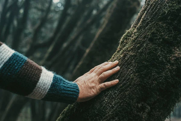 人間の手がそっと触れ 木の幹がムスクで 愛の自然と屋外公園の人々の概念 旅行だ 環境と森林保護ライフスタイル環境レジャー 地球の日 — ストック写真