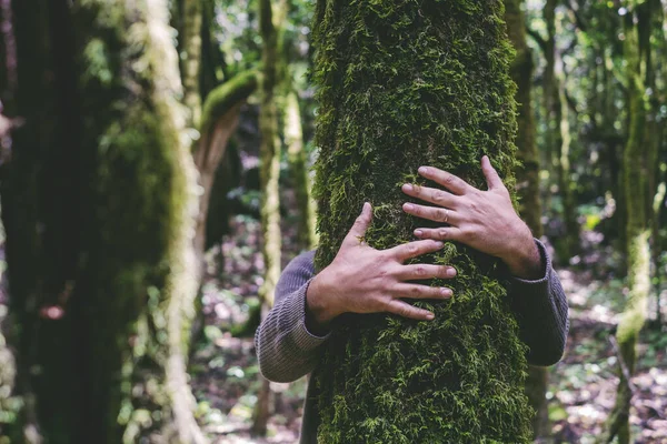森の森の中でマスクと緑の幹の木を抱いている男 環境と環境ライフスタイルの人々の概念 森林破壊からの貯蓄 保護だ 屋外レジャーパーク活動 — ストック写真