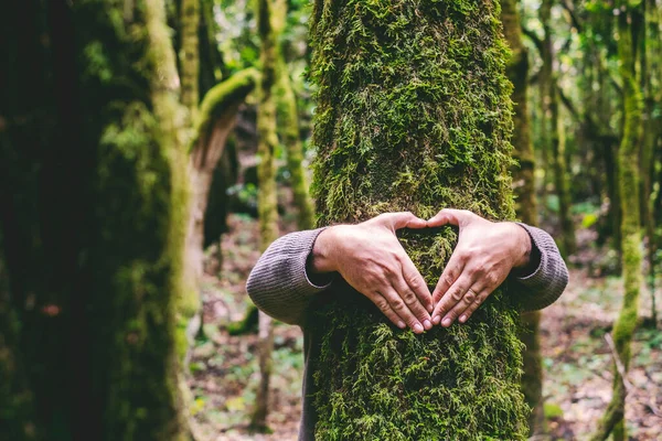 Mãos Humanas Abraçando Tronco Árvore Verde Floresta Fazendo Símbolo Sinal — Fotografia de Stock