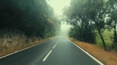 Gün batımı ışık ve seyahat konseptiyle uzun asfalt yol manzarası - dağ ve gökyüzü manzarası - manzaralı yol gezisi - sürücü perspektifi ve yolculuk konsepti