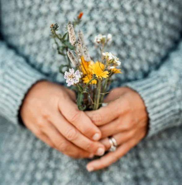 Romantic Image People Nature Hands Holding Natural Flowers Field Spring — Stock Photo, Image