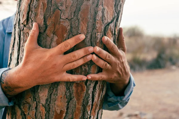 Miehen Kädet Takakontissa Ihmiset Ympäristö Ilmastonmuutos Suojelu Planeetta Maa Kestävän — kuvapankkivalokuva