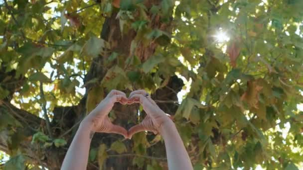 Mulher Fazendo Coração Com Mãos Contra Uma Natureza Árvore Verde — Vídeo de Stock