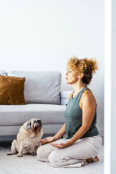 healthy adult woman at home doing meditation exercise in yoga oriental zen position with her best friend dog pug sitting near her looking curious. Indoor leisure activity people in apartment