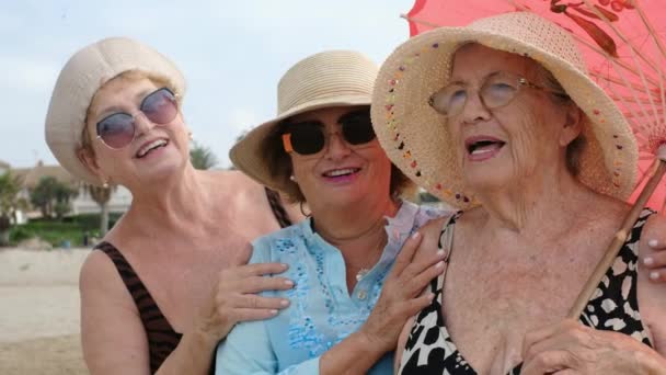 Oude Vrouwen Groep Glimlachen Veel Plezier Samen Vriendschap Openlucht Vrijetijdsbesteding — Stockvideo