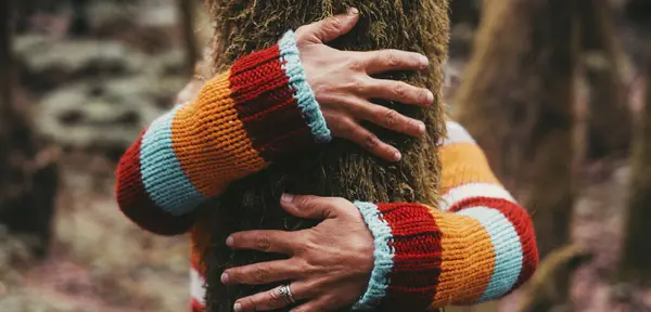 Woman hands bonding hugging tree trunk in the nature woods forest. Wearing colorful sweater. Concept of love nature, healthy lifestyle. Environment and trees protection. Outdoor leisure activity people