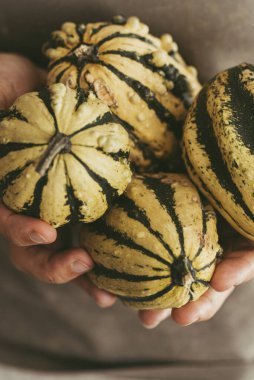 Yeşil balkabaklarını gösteren el ele tutuşan kadınlara yakın durun. Ekim konsepti yaşam tarzı ve yiyecek. Sebzeler ve ham malzemeler. Sonbahar insanları yaşam tarzı. Evde ev yemeği. Çiftçi ürünleri