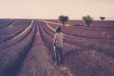  Etrafındaki lavanta tarlasına bak - insan ve güzel seyahat manzarası doğa - Fransa, Provence Valensole konumu - parfüm ve parfüm üretimi işi