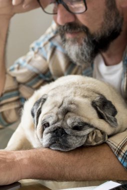 Yorgun adam evde bilgisayarla çalışıyor çevrimiçi dijital modern işte - akıllı çalışan insan yaşam tarzı kavramı - insanlar ve köpek çiftleri ev içinde en iyi arkadaşlar ve sevgi kavramı