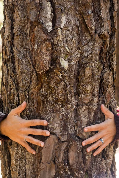 Save world earth and safe forest from deforestation - care environment woods with people hugging a tree in outdoor leisure lifestyle - love nature and planet - stop climate change and warming