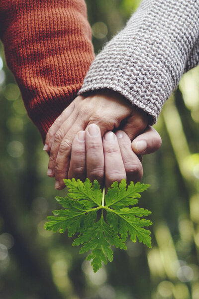 Close up of hands couple holding with love taking green big leaf. Concept of help and nature lover with people together in outdoor park. Man and woman hand united. Relationship life