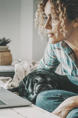 Dizüstü bilgisayarda çalışan bir kadın ekrana bakıyor. Güzel köpek dinleniyor. Modern insanlar ve hayvan dostu kavramı. Kadın bilgisayar kullanarak çevrimiçi boş zaman aktivitesinden hoşlanıyor. İnsanlar ve köpekler